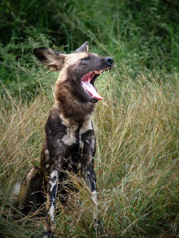 What remains What remains