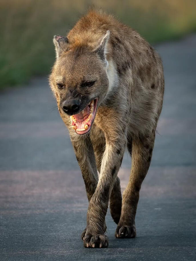 Is noticed Is noticed